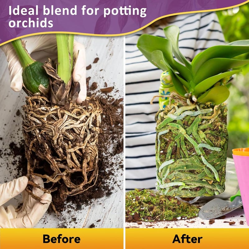 Riare 4QT Orchid Potting Mix for Repotting- Orchid Repotting Kit Include Moss, Pine Bark, Perlite, Coco Peat- Premium Orchid Soil Medium for Indoor Potted Plants Root Ventilation & Expanding - Image 5